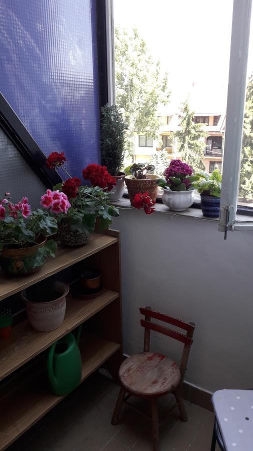 Annika Apartman Erlau Exterior foto